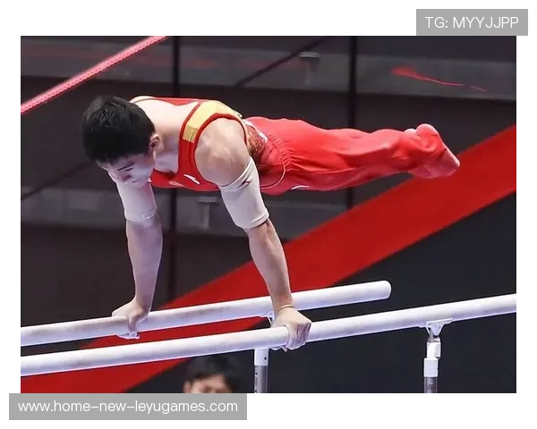 体操新动作创新受规则挑战引专家争论