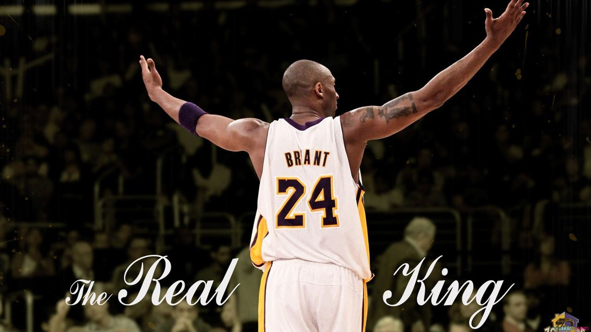 APP下载 LY Sports-城市举办体育产业博览会吸引众多企业与创新项目参展，2021年体育博览会